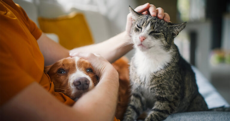 Dog and cat relaxing with their owner at home, showing pets with lymphoma can have comfortable lives.