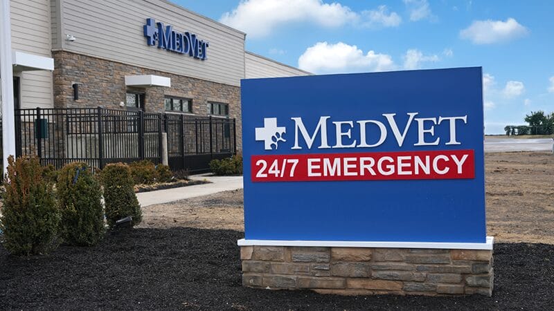 visit a medvet near you pet emergency
