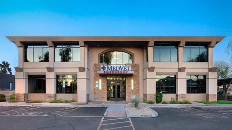 MedVet Phoenix