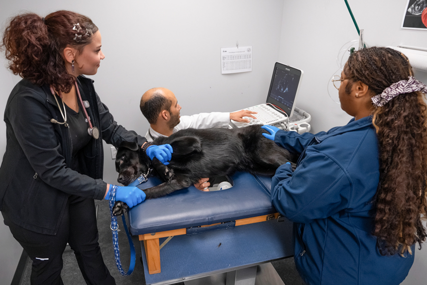 CINCI_Surgery Medical Oncology Internal Medicine Micheal Della Ripa Karl Maritatio Jeanne Lane_180517